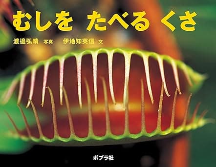 むしを たべる くさ｜絵本　おすすめ？おすすめしない？