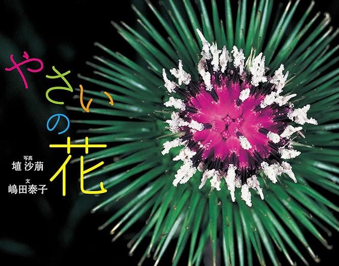 やさいの花｜絵本　おすすめ？おすすめしない？