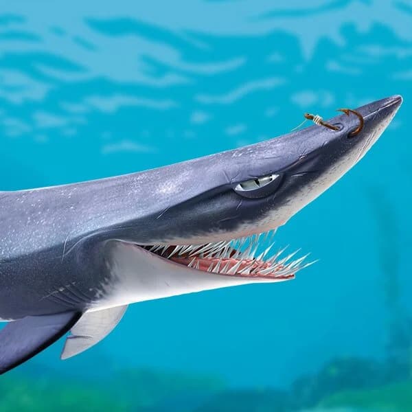 チャム（ファインディング・ニモ）｜ディズニー　好き？嫌い？