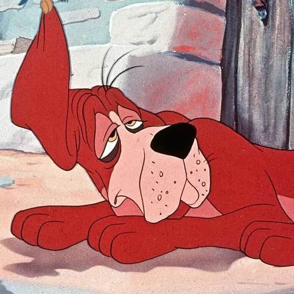 ブルーノ（シンデレラ）｜ディズニー　好き？嫌い？