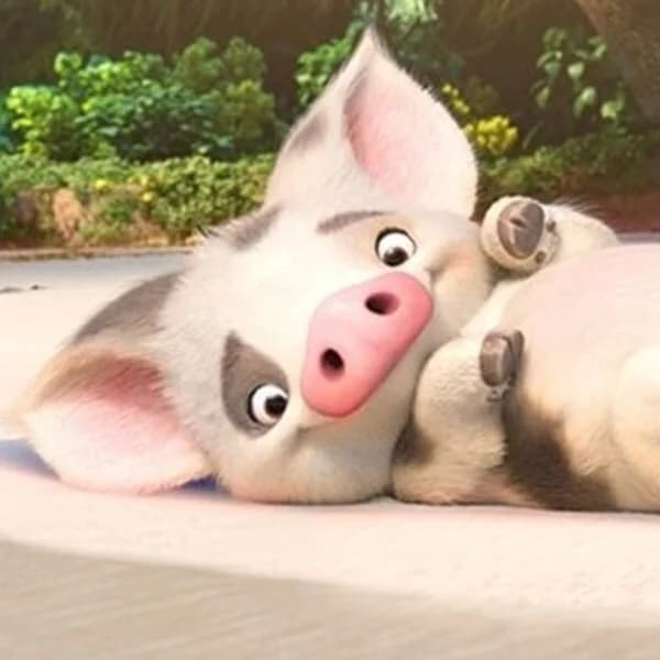 プア（モアナと伝説の海）｜ディズニー　好き？嫌い？