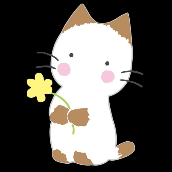 メローチューン｜サンリオ　好き？嫌い？