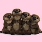 ラッコたち（ファインディング・ドリー）｜ディズニー　好き？嫌い？