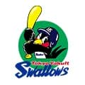 東京ヤクルトスワローズ｜野球　好き？嫌い？