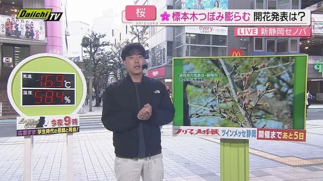 松浦悠真｜気象予報士　好き？嫌い？